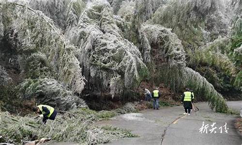 陵县天气_陵县天气24小时预报表