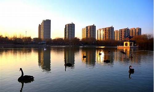 河北邯郸市广平县天气预报15天_河北邯郸市广平县天气预报