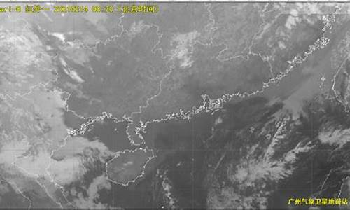 遂溪天气预报_遂溪天气预报