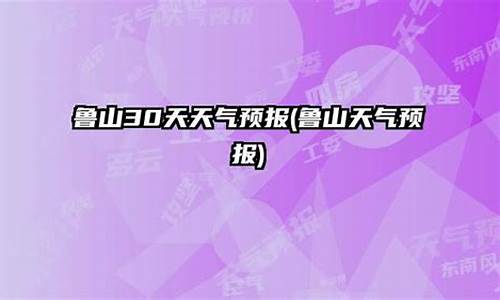 鲁山天气预报40天查询_鲁山天气预报40天